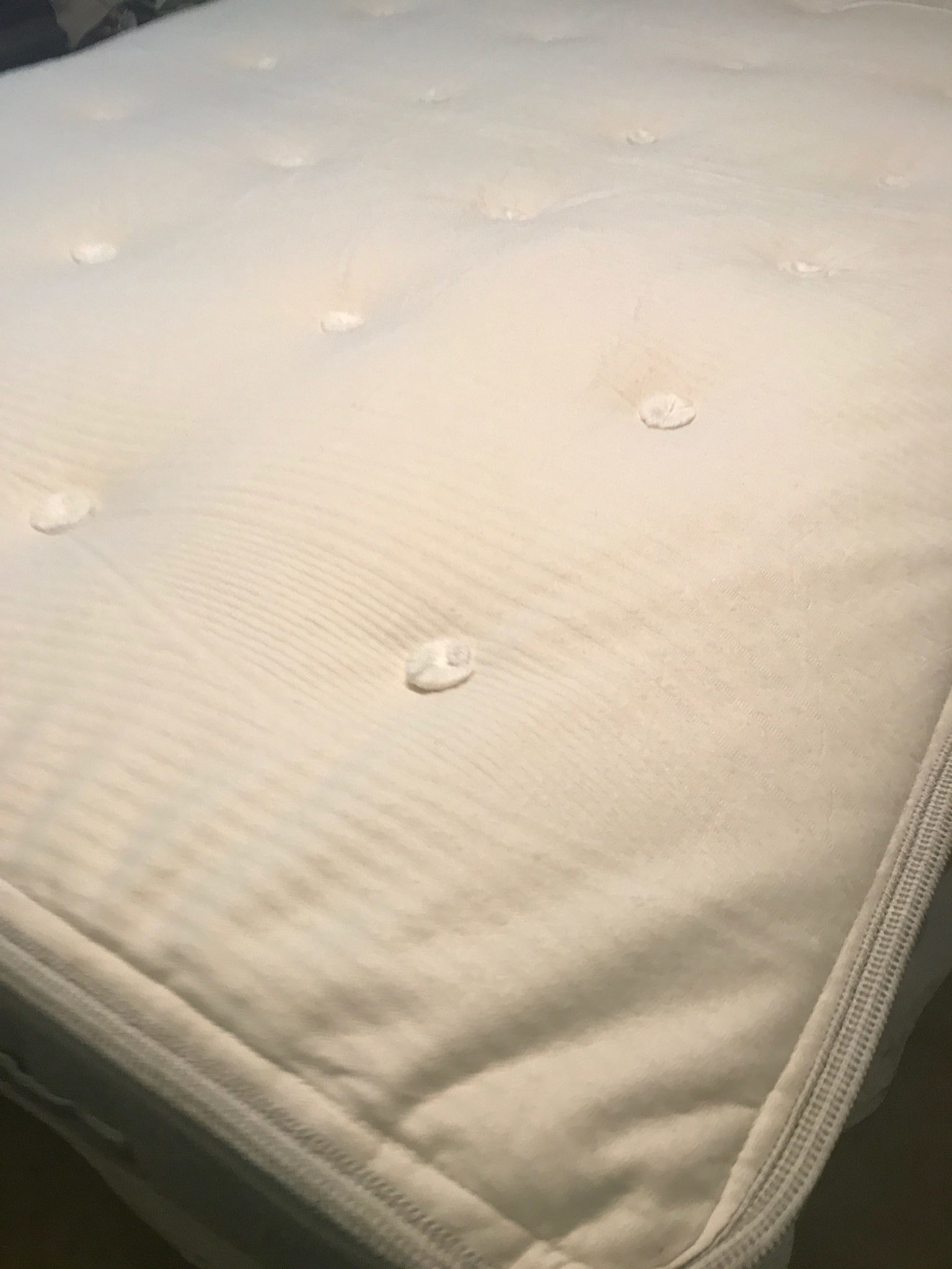 Brentwood Home Cedar Mattress Review Mattresses